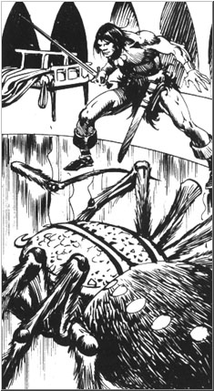 Conan faces the spider of the tower